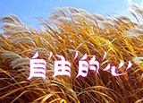 如何加快網(wǎng)站的訪問速度？